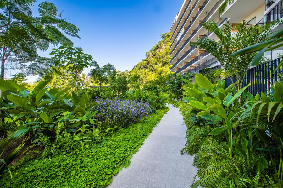 Garden path through the Oasis grounds