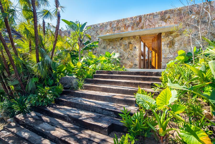 Jungle entry steps to the residence