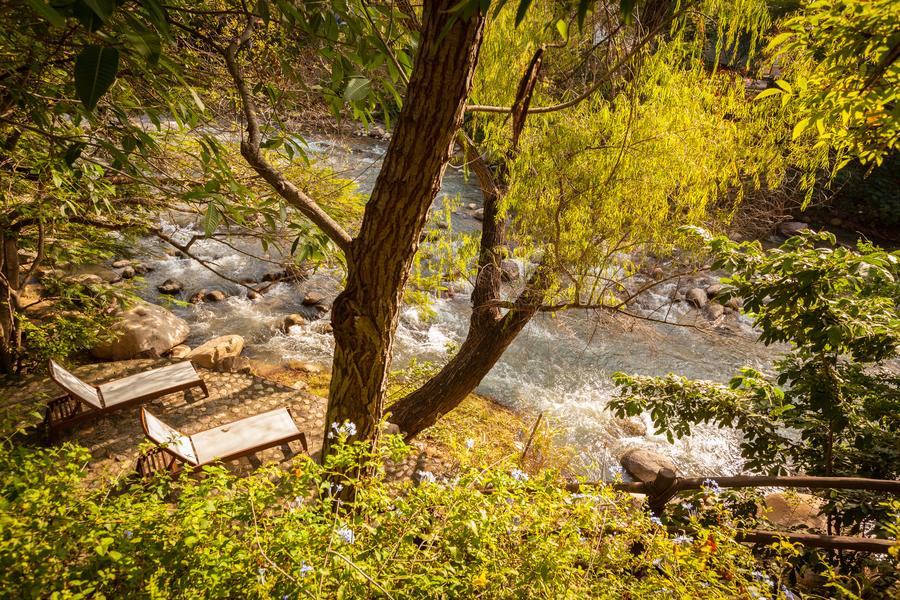 The Río Cuale riverbed beside the ecological reserve