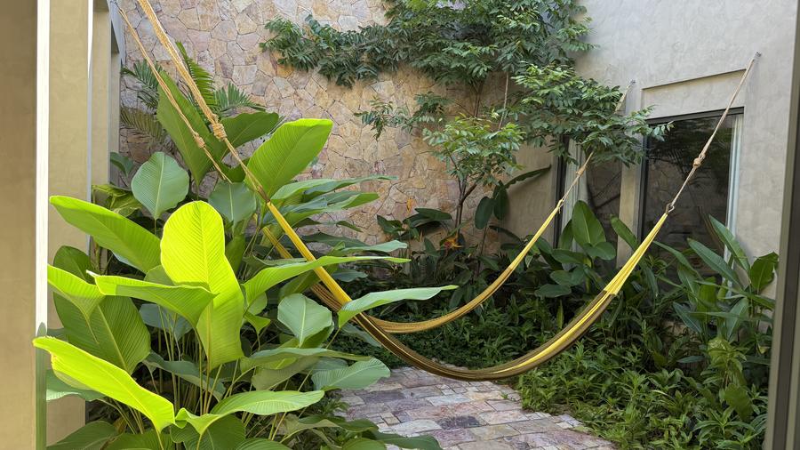 Interior garden courtyard with hammock